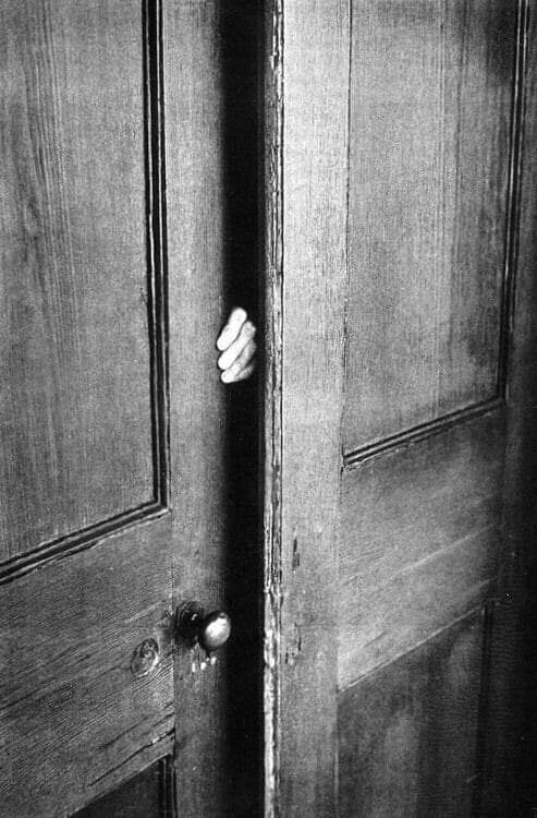 literlandweb1's tweet photo. "El miedo no evita la muerte. El miedo evita la vida".
Naguib Mahfouz https://t.co/M3ErGPHsjM