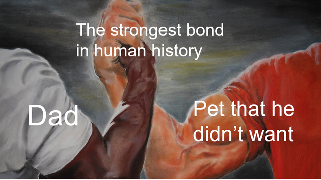 WholesomeMeme's tweet photo. https://t.co/EekB78g9ZF