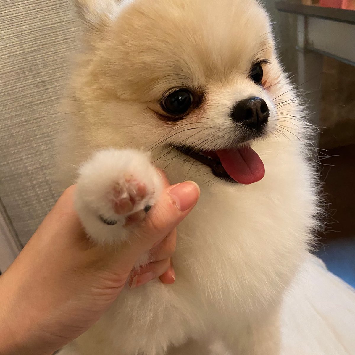Twice 和訳 Information サナとナヨンがbubbleのプロフィール写真を変更 Twice 트와이스 Jypetwice 나연 사나 Twice 和訳 Information サナとナヨンがbubbleのプロフィール写真を変更 Twice 트와이스 Jypetwice 나연 사나