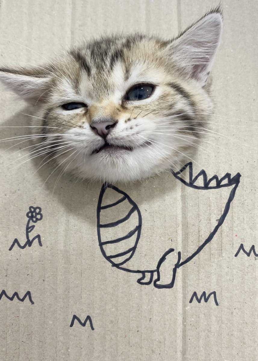 ไดโนแง้วเป็นสัตว์ดุล้าย! 🦖