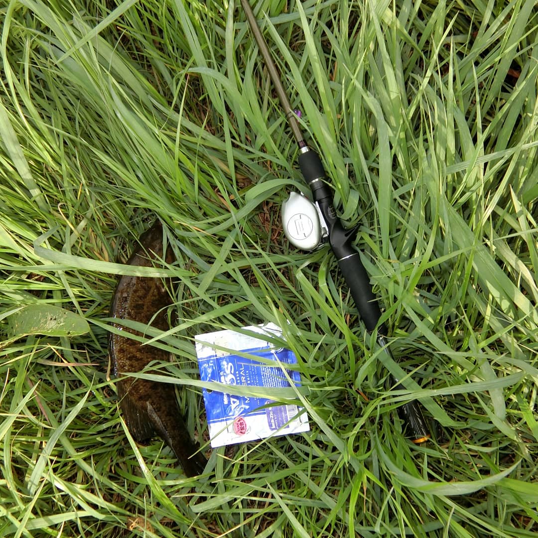 スモールマウスバス釣り