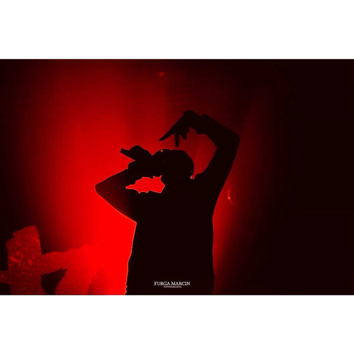 wdzone's tweet image. ELO