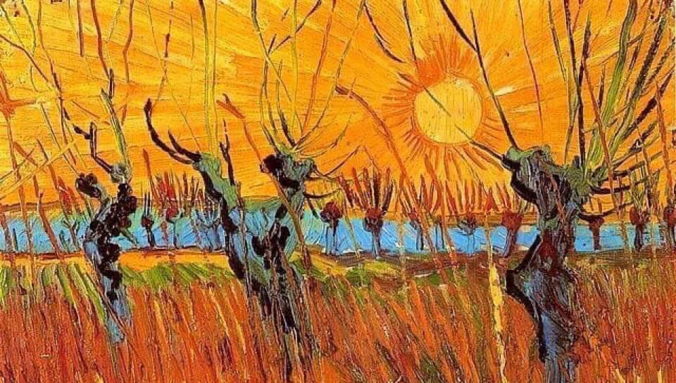 выставка поля сезанна. винсент ван гог жар -птица. картины поля сезанна. ван гог (подсолнухи). хаим сутин художник.