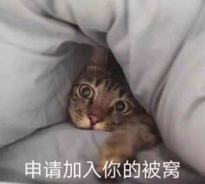 KeyerCat's tweet photo. 昨天是163位跟隨，現在是199跟隨
因為有超厲害的人回我一則貼文，就這樣而已，然後我就被演算法推了⋯⋯突然被好多人看到有點害羞，但是可以嘗試著加入大家的被窩（？ https://t.co/bTPZM4eFD2