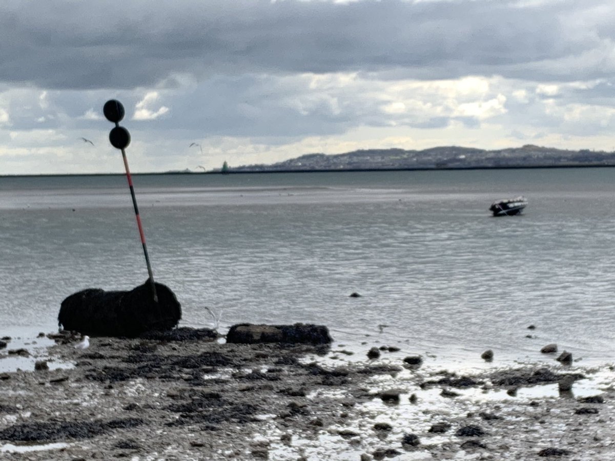 Day 96/100 . Back to the seafront today to blow away the cobwebs from the Easter weekend. Have a good day everyone.#100daysofwalking #5kmfromhome @100DaysOfWalkin @NewstalkFM @NTBreakfast @GetIreWalking