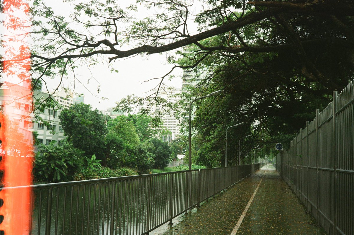 danik1025's tweet photo. 필름 🎞 #ninoco400
สะพานเขียวสวนลุม เดินทะลุออกอโศกไปเลยแม่ 55555555 🌿🌿 https://t.co/A20hN73C6E