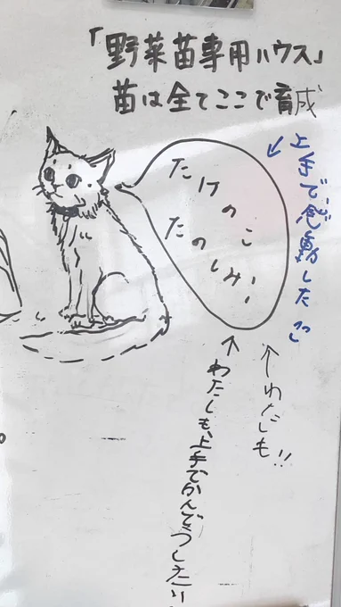 また竹の子を買いにいったら落書きが残っていて感想が足されてた。
うれしくなって書き足してたら小学生が走ってきて見に来て、そのあと別のの子が走ってきて絵をみていた。
たのしみにしててくれたみたい。

なんかとっても嬉しい気持ちになりました。農家の人もとっても喜んでくれてほっこりした。 