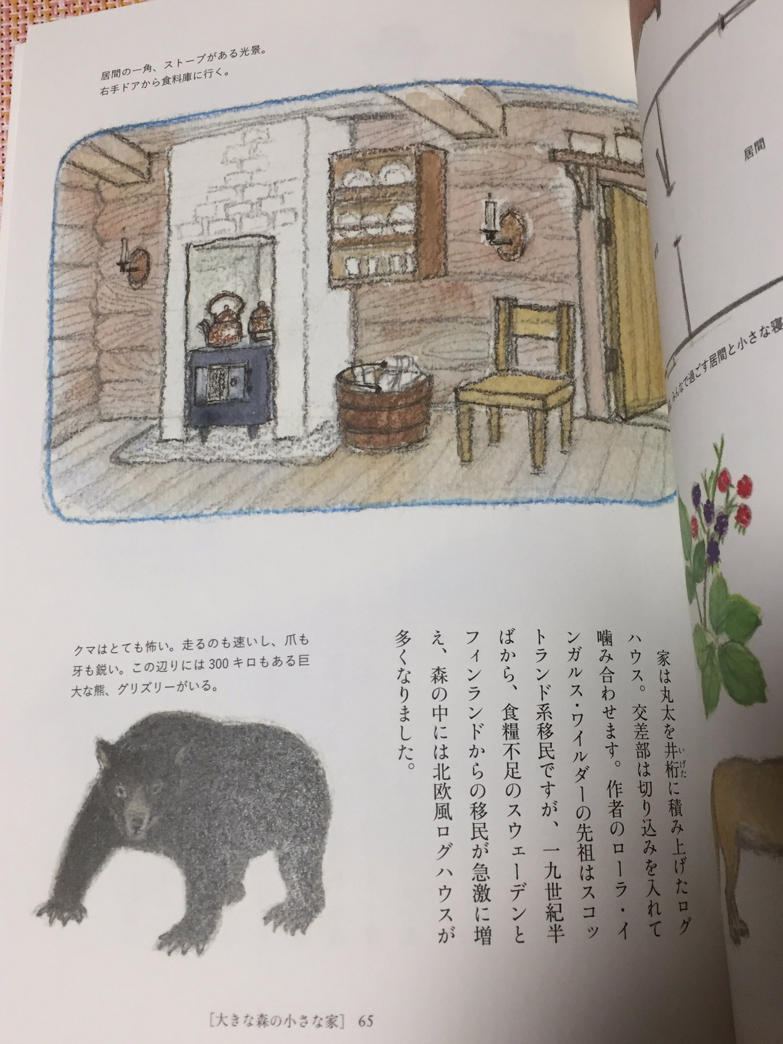 建築知識 Rt Pupu Pooh いい本みつけたー 児童文学の中の家 ナルニアの衣装だんすのある家 からワイルダー一家の森の中の家 メリーポピンズのバンクス家も 想像の中で走り回ったあのおうち達が優しいイラストで収録されてる 個人的にはやかまし村