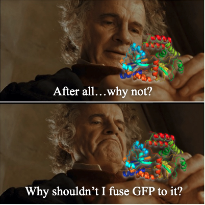 Jake Wintermute 🧬/acc tweet media