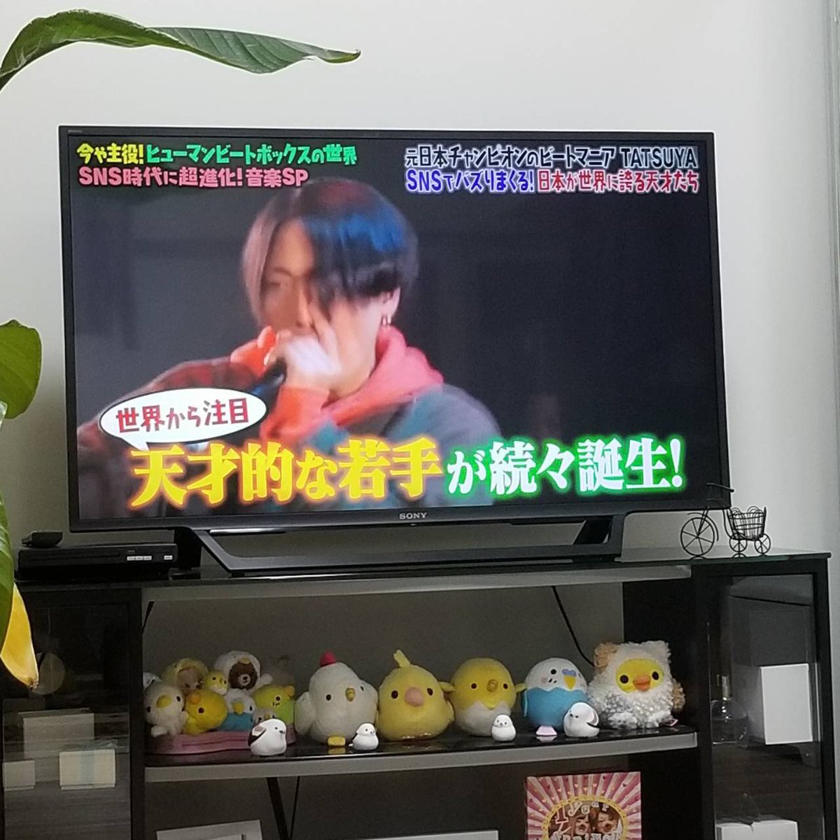 マツコの知らない世界で ヒューマンビートボックス が話題に トレンドアットtv マツコの知らない世界で ヒューマンビートボックス が話題に トレンドアットtv
