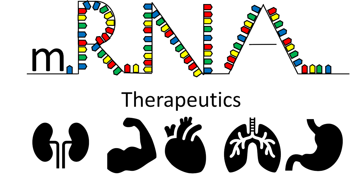 Jefferson Research (@researchatjeff) on Twitter photo RNA was discovered in 1961 and now 50 years later we are seeing a new "Avtar" of RNA. mRNA codes for proteins lets see How it is coding our life?
Ankita Srivastava <a href="/AnkitaS47546958/">Ankita Srivastava</a> & Santosh Yadav @sun2s_yadav postdoctoral researchers at @JeffUniv. #JeffTakeover, #scicomm, #rna RNA was discovered in 1961 and now 50 years later we are seeing a new "Avtar" of RNA. mRNA codes for proteins lets see How it is coding our life?
Ankita Srivastava <a href="/AnkitaS47546958/">Ankita Srivastava</a> & Santosh Yadav @sun2s_yadav postdoctoral researchers at @JeffUniv. #JeffTakeover, #scicomm, #rna