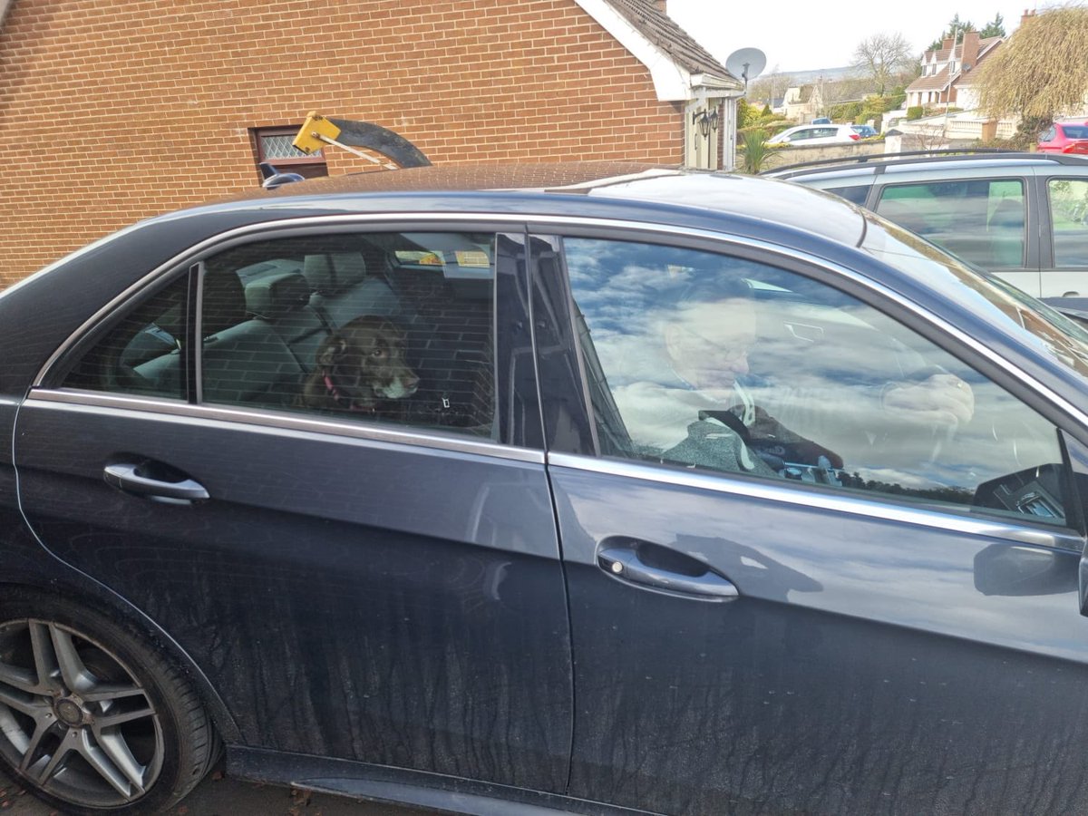 AMcNicholl's tweet photo. Any time Harley gets out she goes straight to Granny’s house 😂 https://t.co/VhGrNoR9IN