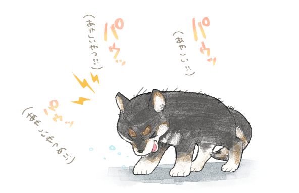 こっちは筆やすめ( ˘ω˘ )
youtubeさんで動物の動画見るの好きで毎日癒しをもらっている…(*˘ω˘*) 