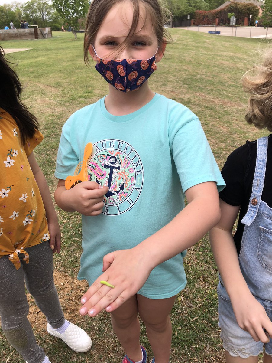 Loving this beautiful weather and the nature around us 🐛 #gesshineon