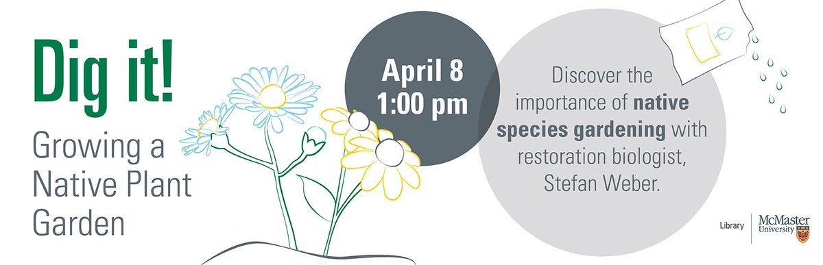 Additional information >>> HERE <<< - PDF Free Download