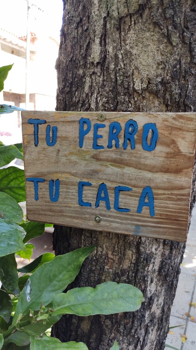 C10Igna's tweet photo. #tuperro #tucaca https://t.co/9Syw2165ng