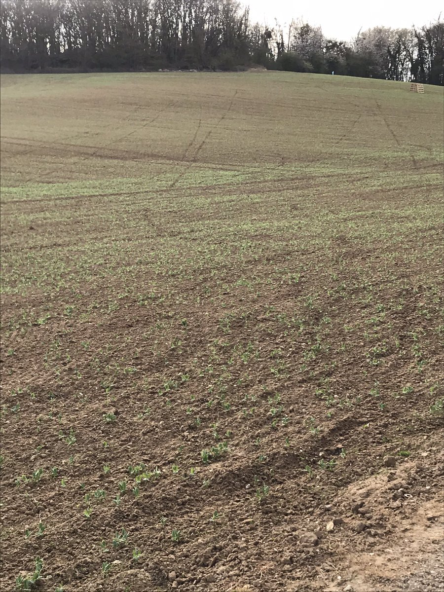 Visiblement les chemins ne suffisent pas aux amateurs de motos 🤬. Je me demande ce que donnerait un passage de tracteur dans leur jardin !
<a href="/CAIDF/">Chambre d'agriculture de région Ile-de-France</a>