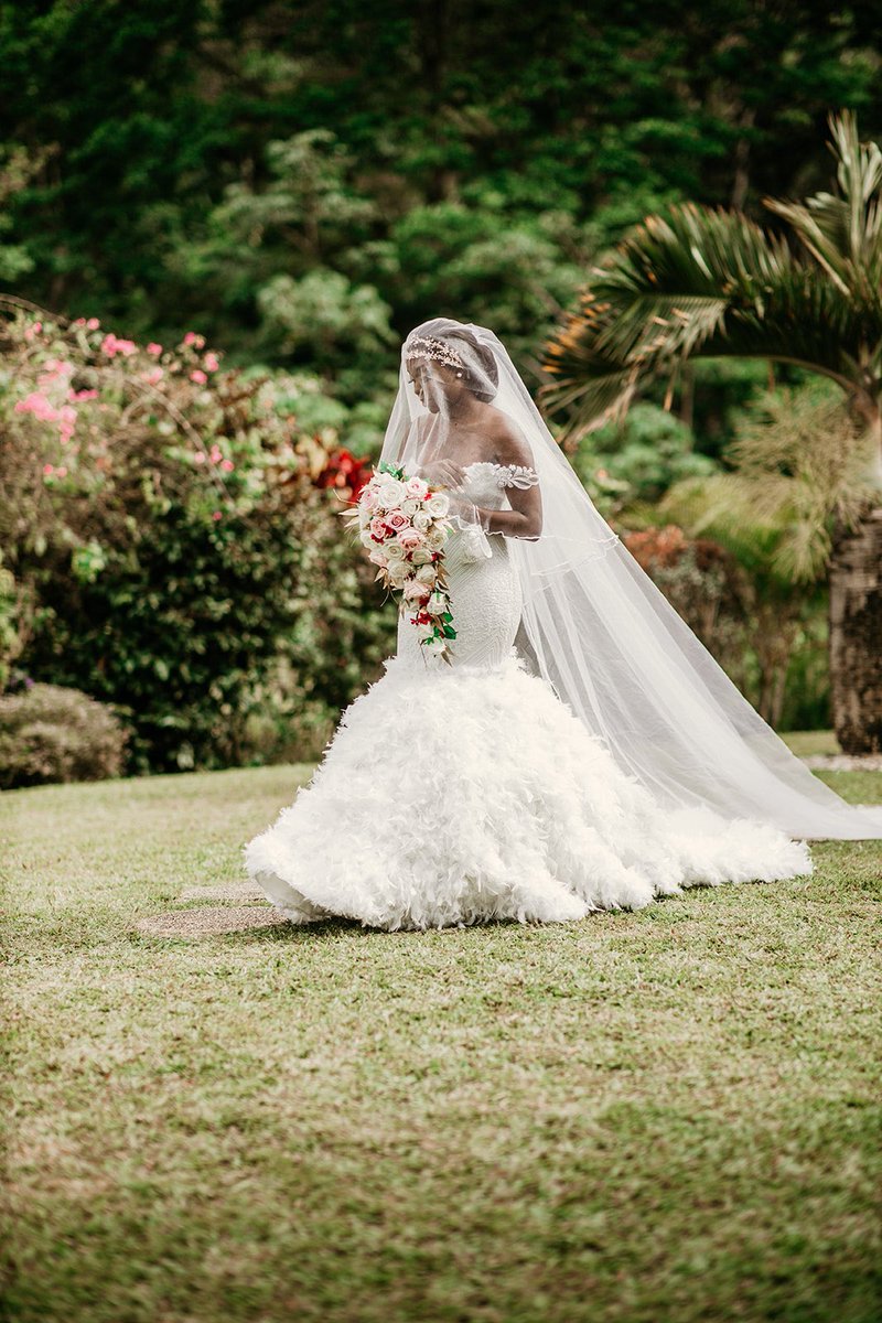 Cassius Rochford tweet media