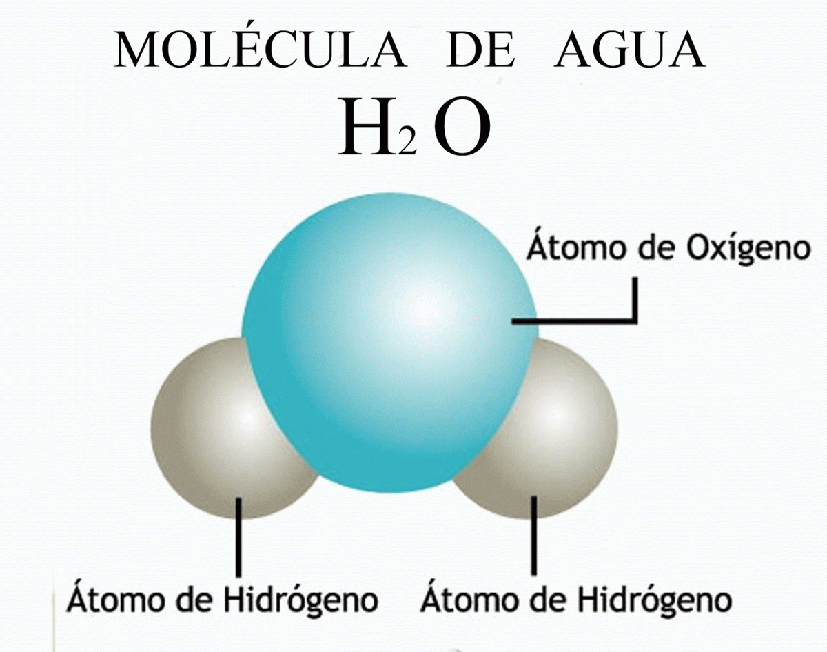Diferencia entre molécula y átomo