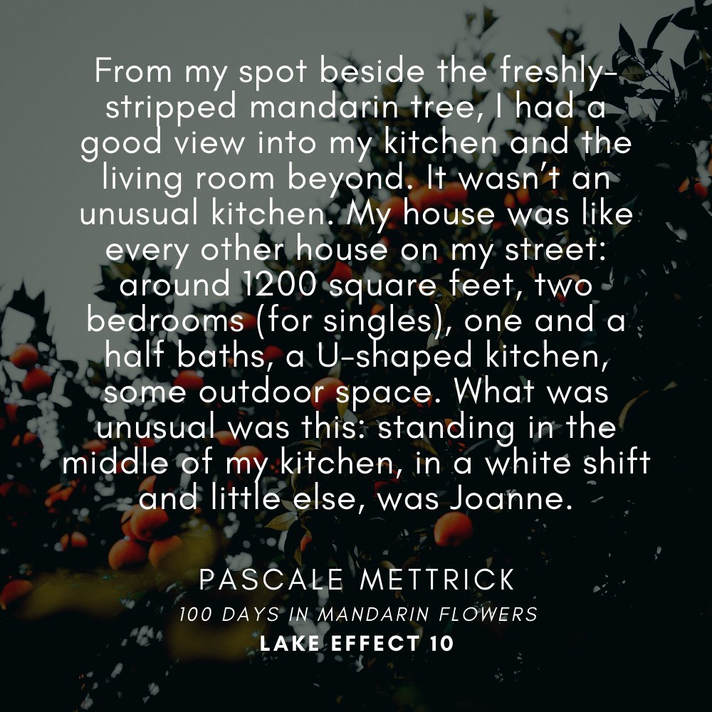 10_effect's tweet image. Meet our next Lake Effect 10 contributor, Pascale Mettrick, and enjoy an excerpt from her short story, "100 Days in Mandarin Flowers."

@QueensCWRI