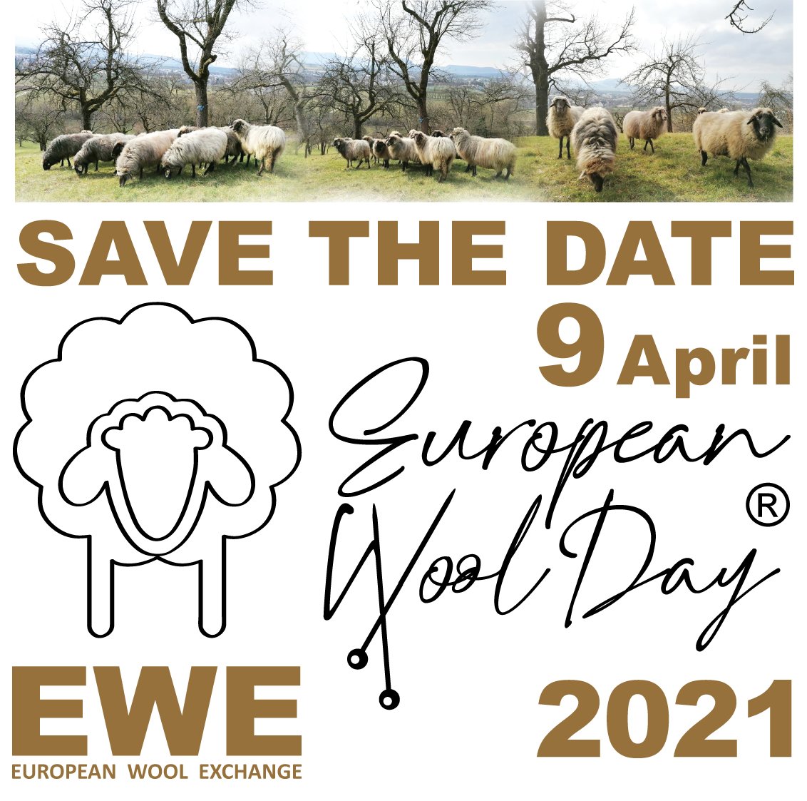 InnogestionaAmb's tweet photo. El próximo 9 de abril tendrá lugar el PRIMER #DíaEuropeoDeLaLana
Una oportunidad para conocer el potencial de este recurso en el marco de los #ObjetivosDesarrolloSostenible
>
Sharing experiences and knowledge about wool!
#europeanwoolday #firsteuropeanwoolday https://t.co/jkrG62c85n