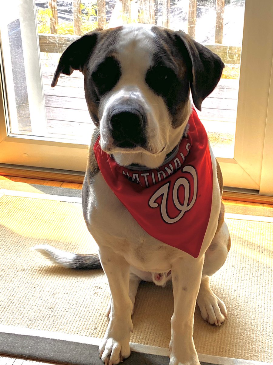 #GunnerSays Can’t wait for <a href="/Nationals/">Washington Nationals</a> To kick off the 2021 season!