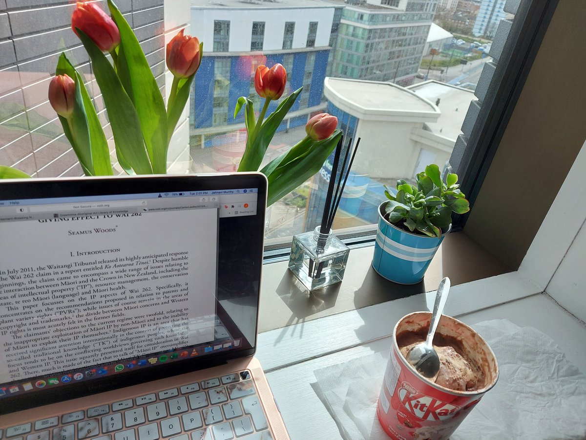 missmocherla's tweet photo. tulips and ice cream https://t.co/hTErney5Tv