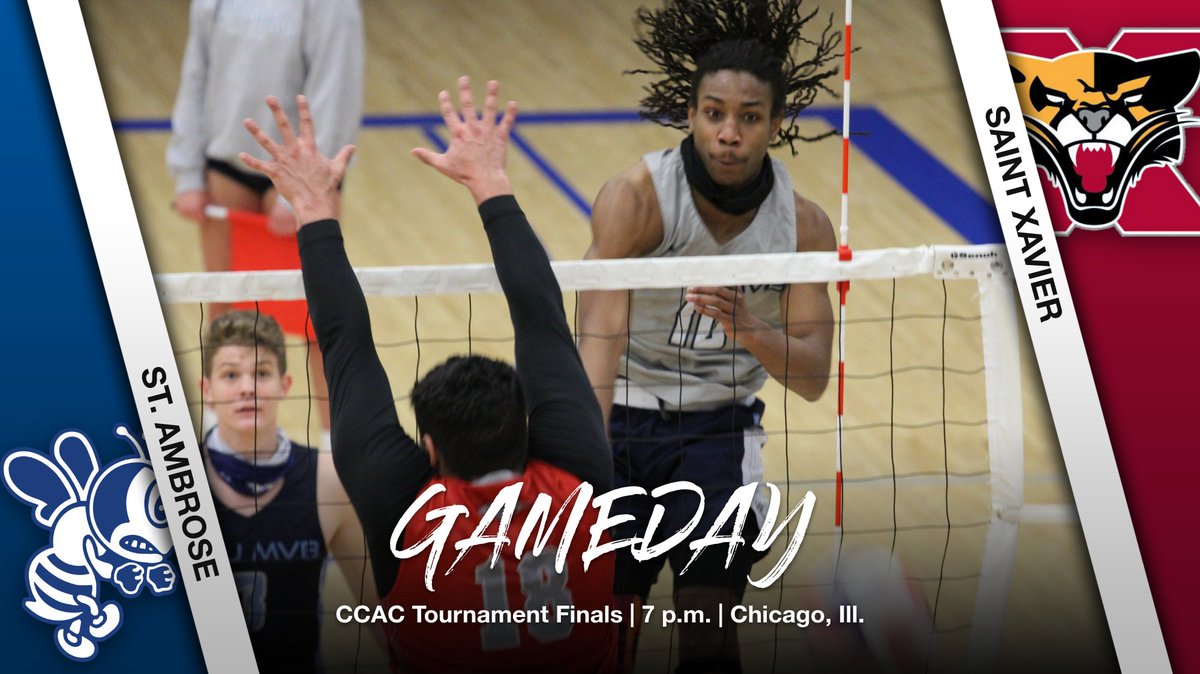 Fighting Bees Athletics tweet media