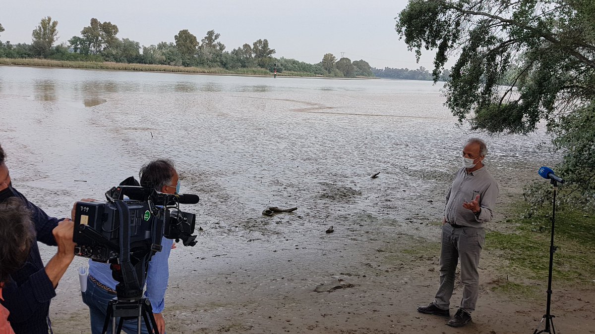 PuertoDeSevilla's tweet image. Con @miguelyaye1 de @EspacioCanalSur hemos hablado de la luna 🌚 y las mareas 🌊 en el #Guadaquivir; y científicos de @InfoUMA @gofima han explicado cómo aplicar las matemáticas para conocer mejor la marea y que puedan entrar buques con más mercancía 🚢 #WorkingWithNature