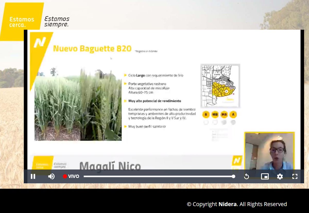 Otto4Man's tweet photo. Lanzamiento de Campaña Trigo 2021 🌾de @NideraSemillas por @agrositio!!! 
💪Invitados de lujo
💪El mejor portfolio 
💪El trigo como parte del sistema de producción
#EstamosCercaEstamosSiempre #TrigosNidera #DanielMiralles https://t.co/l1WO8gCvdC