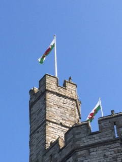 DiabetesUKCymru's tweet photo. Any more pictures out there for #WalesinSpring?
Here's #Caernarfon looking glorious https://t.co/EyDA3kTuKg