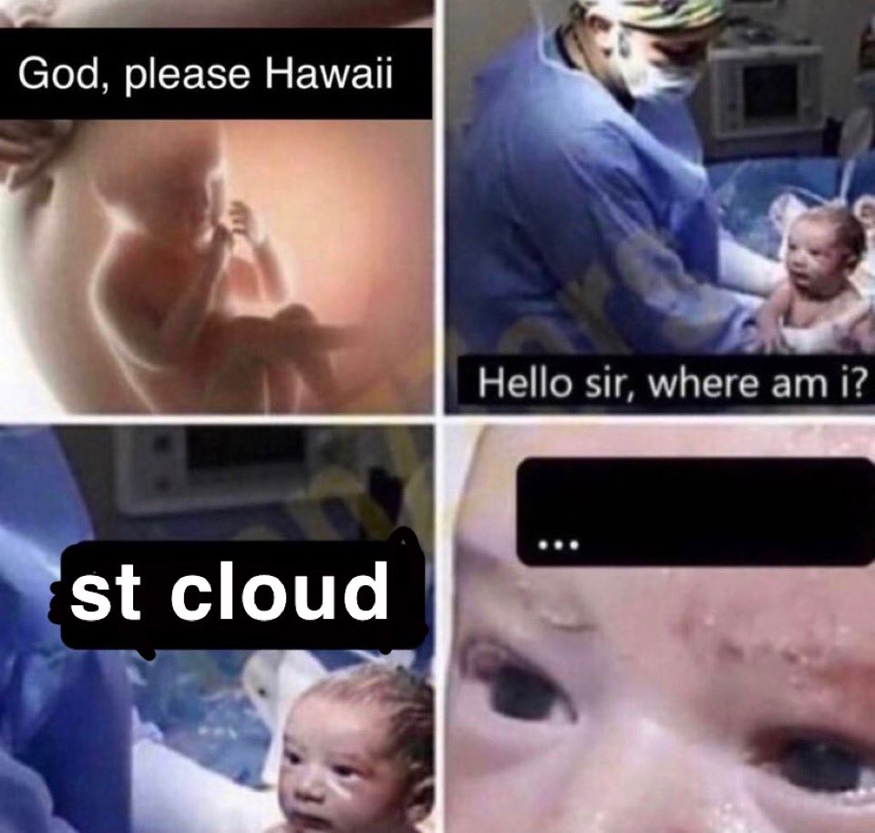 pinecasket's tweet image. 