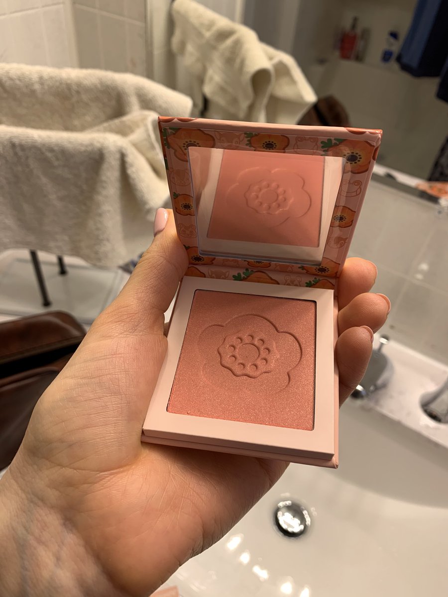 thelovelyskip's tweet photo. Had some fun this morning with my #AnimalCrossing pals. These are too cute! I do love pretty things. 🌷🦉#colourpop 💋#lookslikespring https://t.co/GaJcY1ITXr