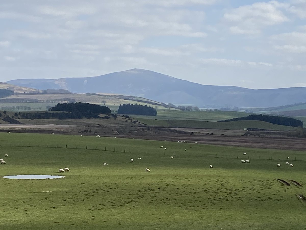 WoS GenSurg STs tweet media