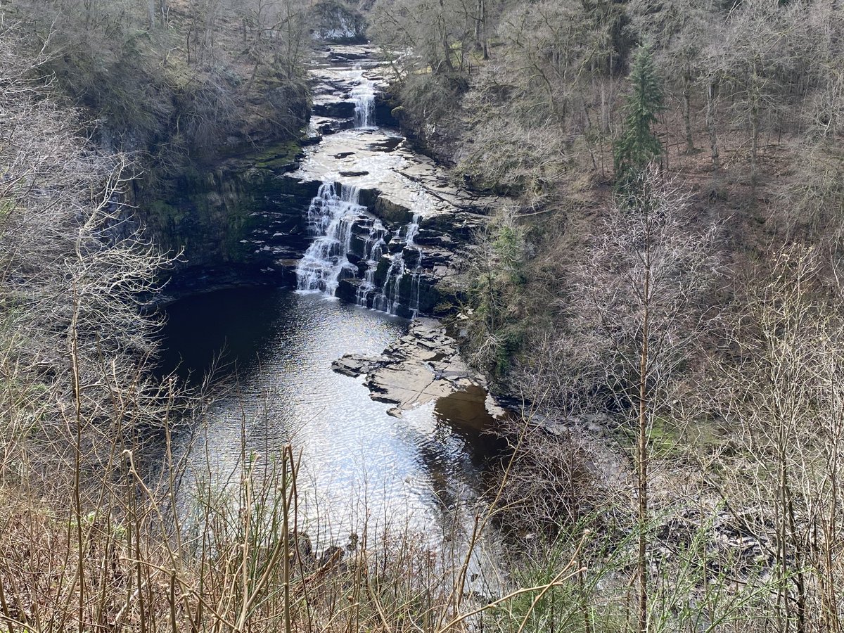 WoS GenSurg STs tweet media