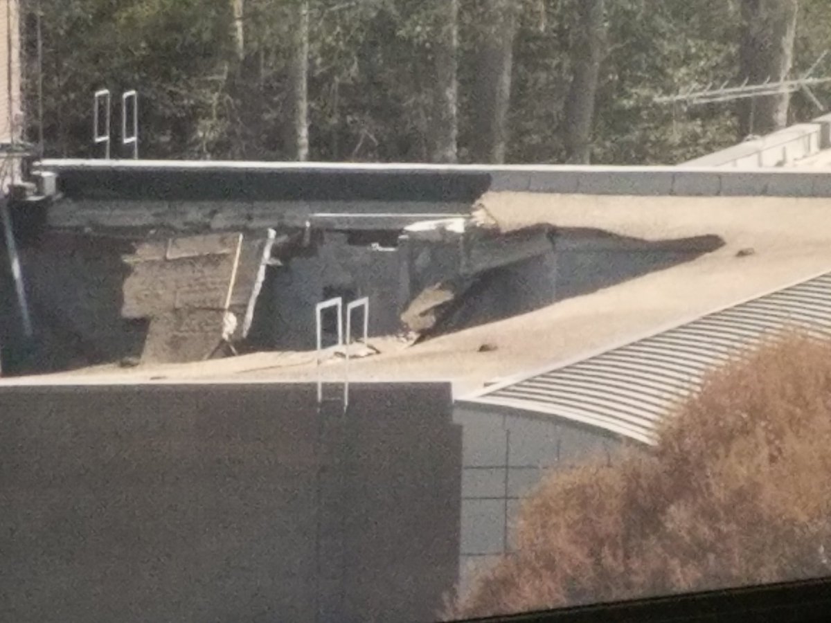 CraftyWavy's tweet image. WOW!! HUGE hole in the roof of Templin Hall auditorium at Thomas Nelson Community College.  Only Chopper 10 can show you this damage. See more on @WAVY_News 10 Midday. #BreakingNews #breaking #collapse