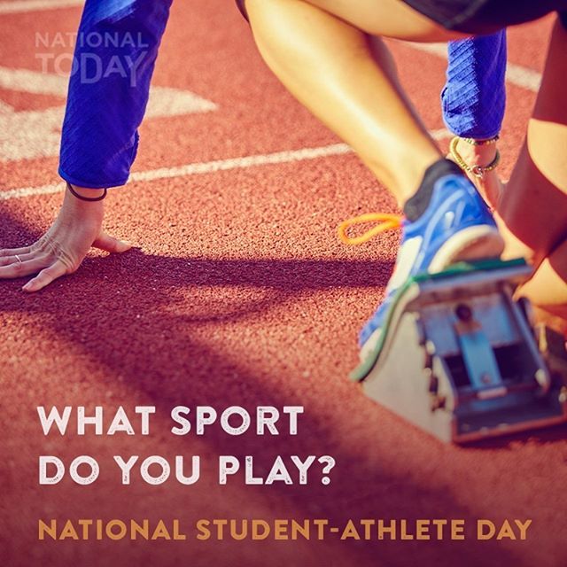 BunklineStore's tweet image. 