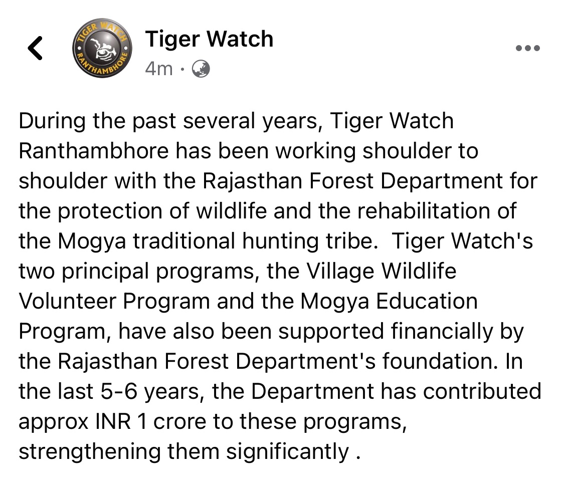 Tiger Watch tweet media