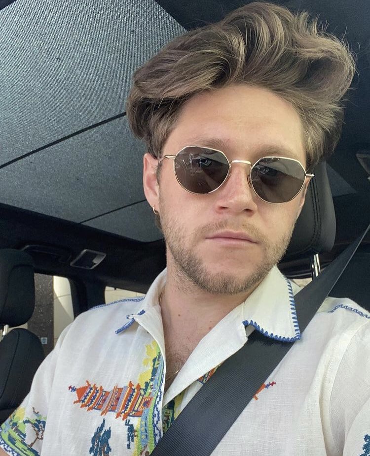 mrshelenstyles1's tweet photo. estado: enamorada de niall horan https://t.co/AQJmtZWAQH