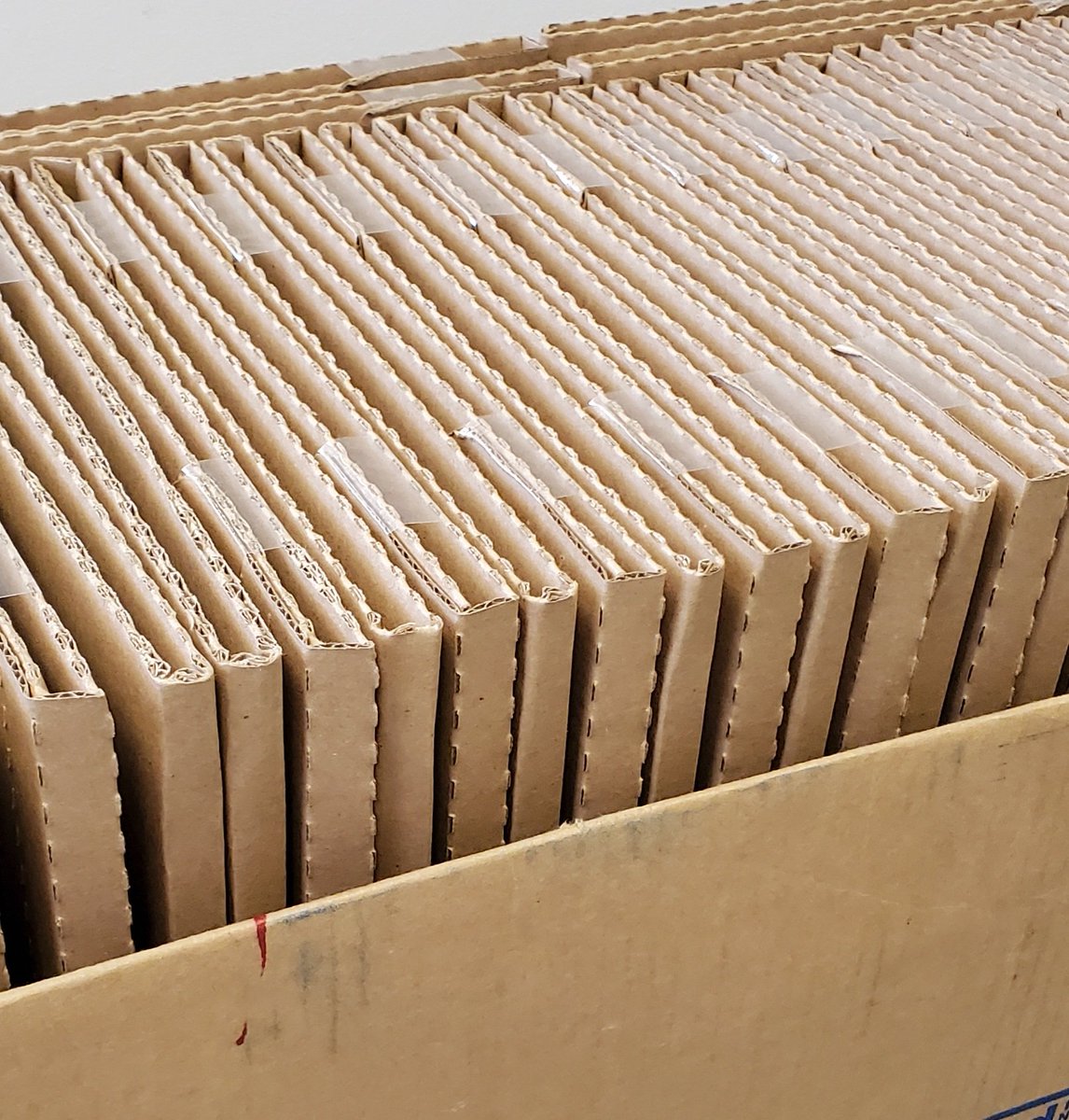 newgranadatampa's tweet photo. @lapecheband LP pre-orders going out now! Blood In The Water is officially out on LP/digital/Streaming Friday April 9! Order at https://t.co/S2wtjVXjpu
#lapeche #bloodinthewater #vinyl #vinylpreorders #diyrecordlabel @RiotActMedia @thesyndotcom https://t.co/iL2GMbT5CP