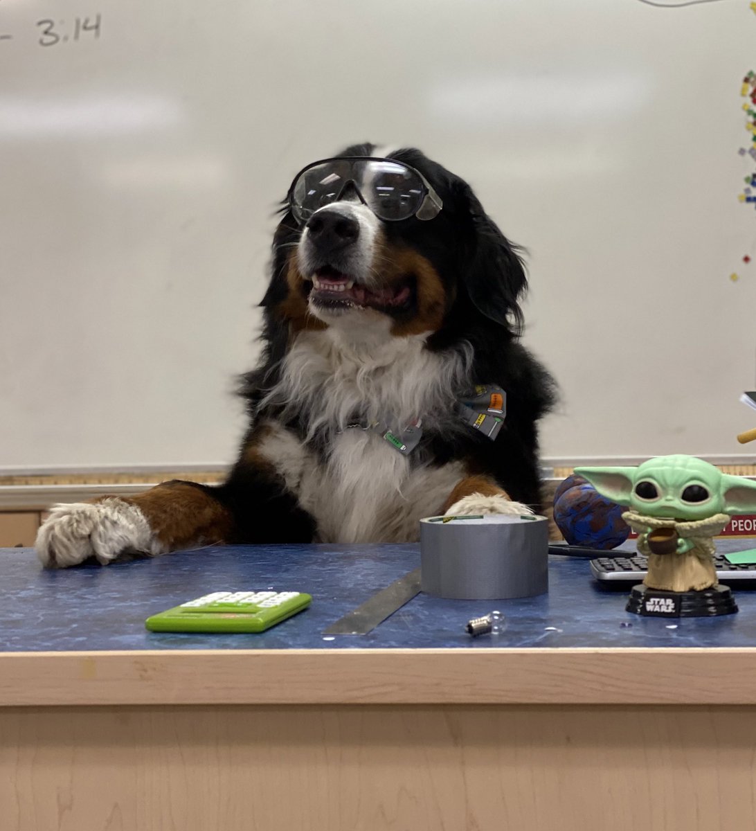 Bunsen in glasses teaching