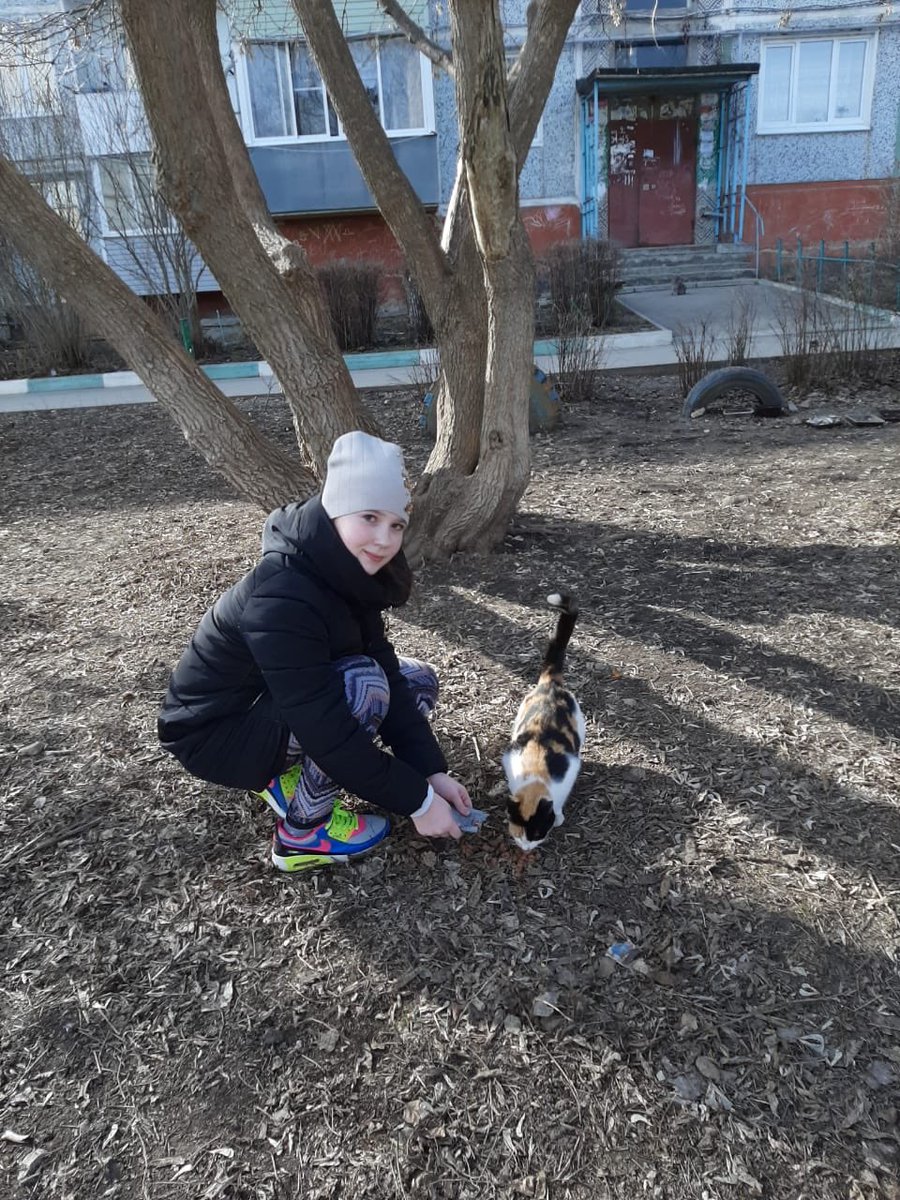 school_2_venev's tweet image. #весенняянеделядобра #весенняянеделядобра71 #продобро71