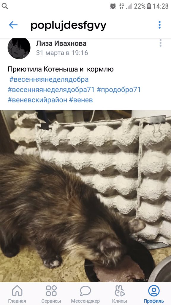 school_2_venev's tweet image. #весенняянеделядобра #весенняянеделядобра71 #продобро71