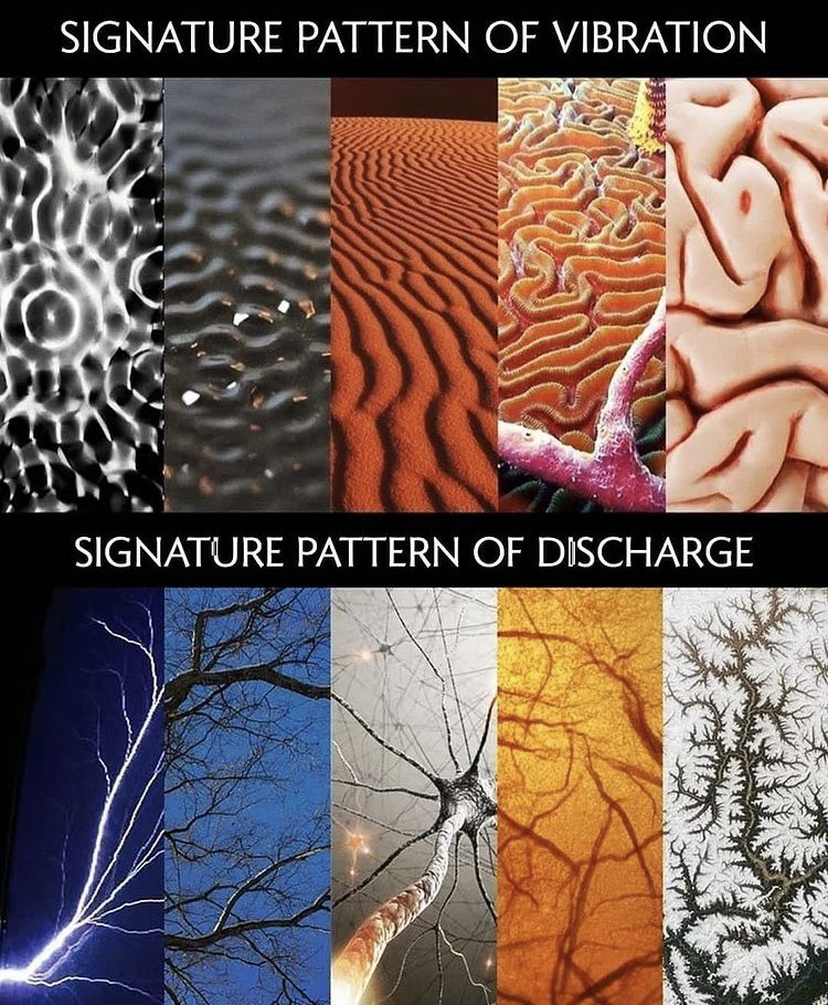 then_patterns's tweet image. #Patterns Celebrations 👏✨
@david_perell @Iwearbear @jasonleowsg

Credits: 
ow.ly/Ya7N50EhkX8