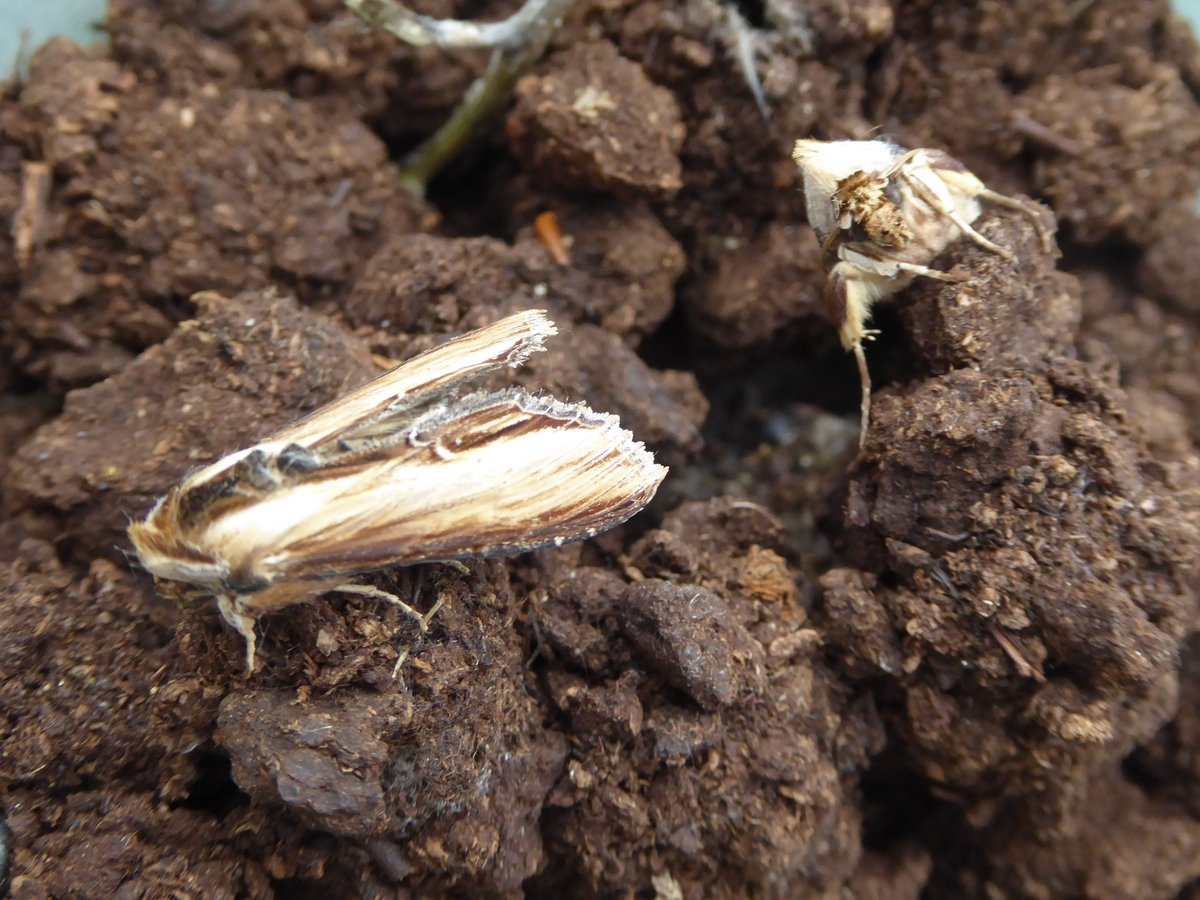 Martin Raper tweet media