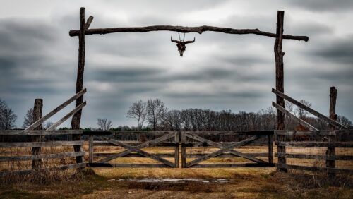 Wondering how's #Texas these days... buff.ly/3fE2Fhk #texasisbackon