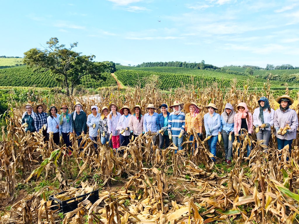 A união faz a força.

📸 <a href="/marcoantonionc/">Marco Antonio Emediato</a>