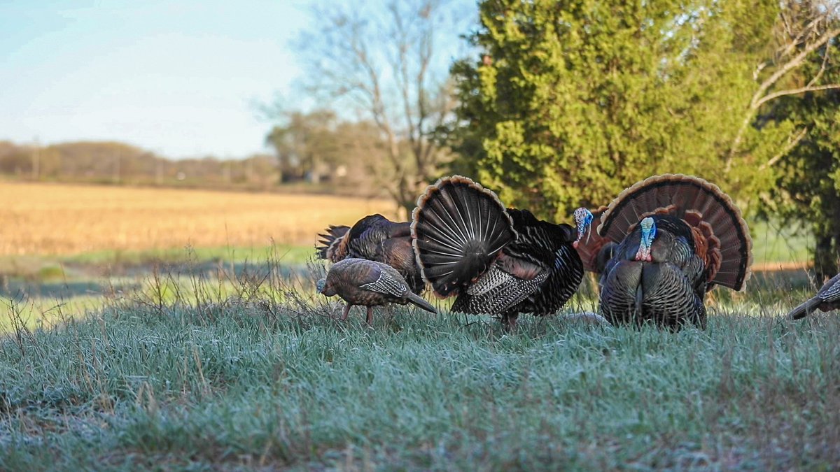 The views we're ready for! #TurkeySeason