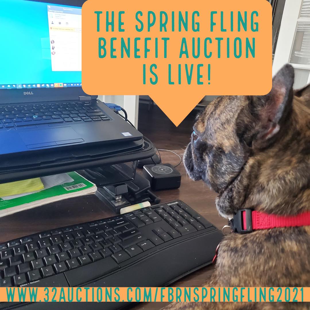 “THE SPRING FLING BENEFIT AUCTION HAS STARTED!” -Jake💸

This auction will help raise 💰 for our needy foster Frenchies who are racking upwards of thousands of dollars a month in medical bills &amp; training expenses! There are 350+ amazing items to bid on!
32auctions.com/FBRNSpringFlin…