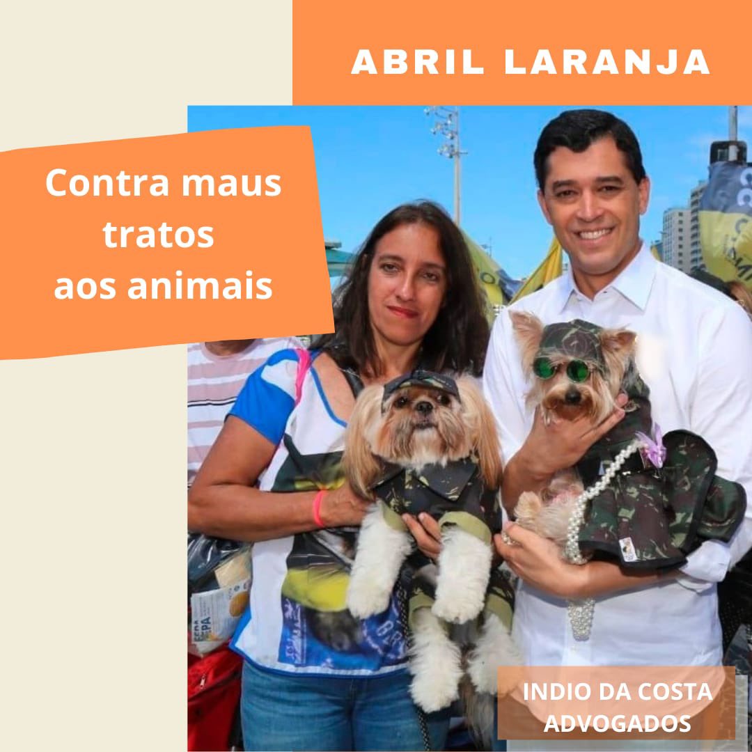 indio's tweet photo. Animais de estimação fazem parte da nossa família. 

São companhias preciosas e afastam a solidão. A campanha contra maus tratos aos animais é chamada de #AbrilLaranja . 

Bora defendê-los!😀
Com @andrealambertrj 
#defesaanimais #contramaustratos https://t.co/Q8BML2aQkx